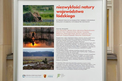 Niezwyklosci-Natury-Wojewodztwa-Lodzkiego-2