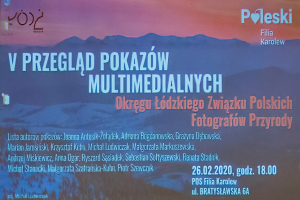 Poleski Przegląd Pokazów Multimedialnych