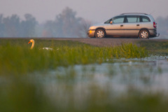 Parking Strzeżony