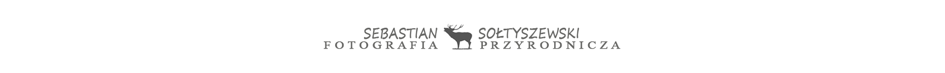 Sebastian Sołtyszewski